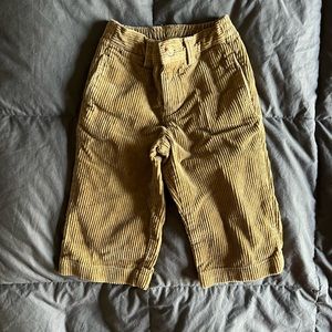 Polo Corduroy Pants